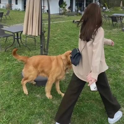 格林第四季