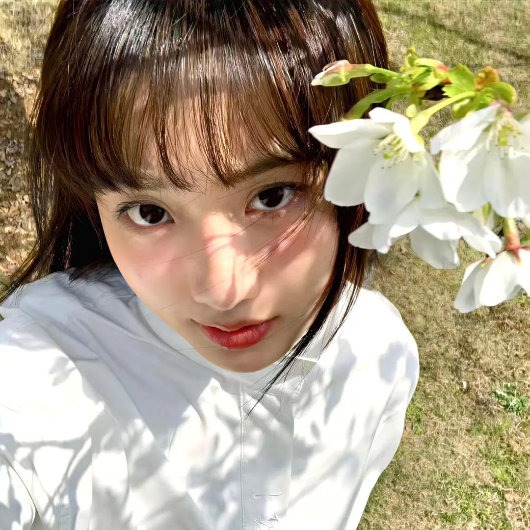 花满楼之绝世
